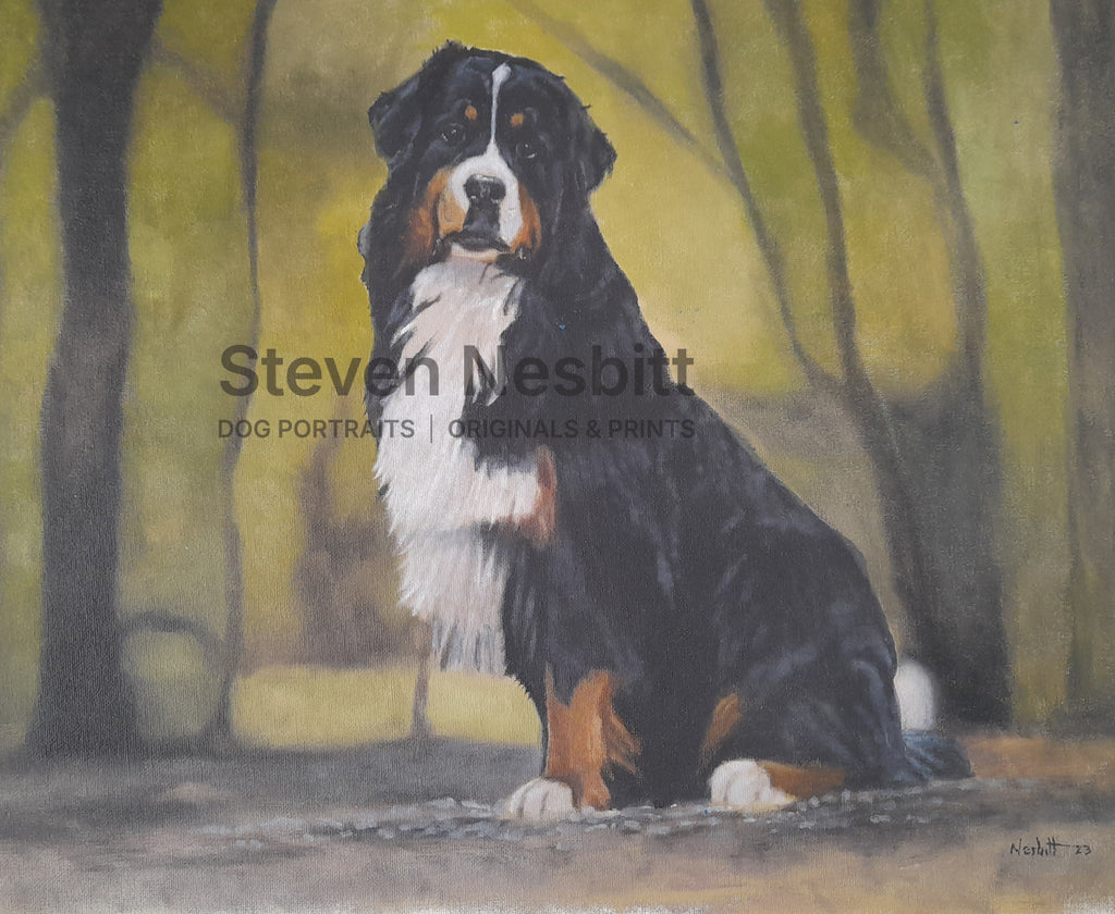 Bernese Amongst Trees Original Painting