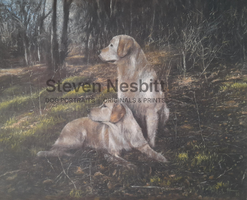 Woodland Scene Original Painting
