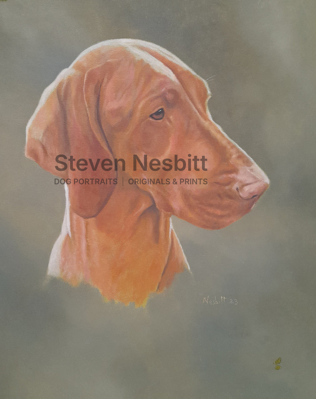 Vizsla Head Study Original Painting