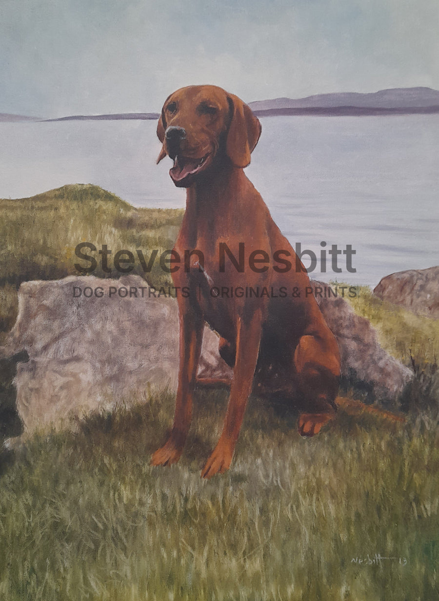 Hungarian Vizsla by Rocks Original Painting
