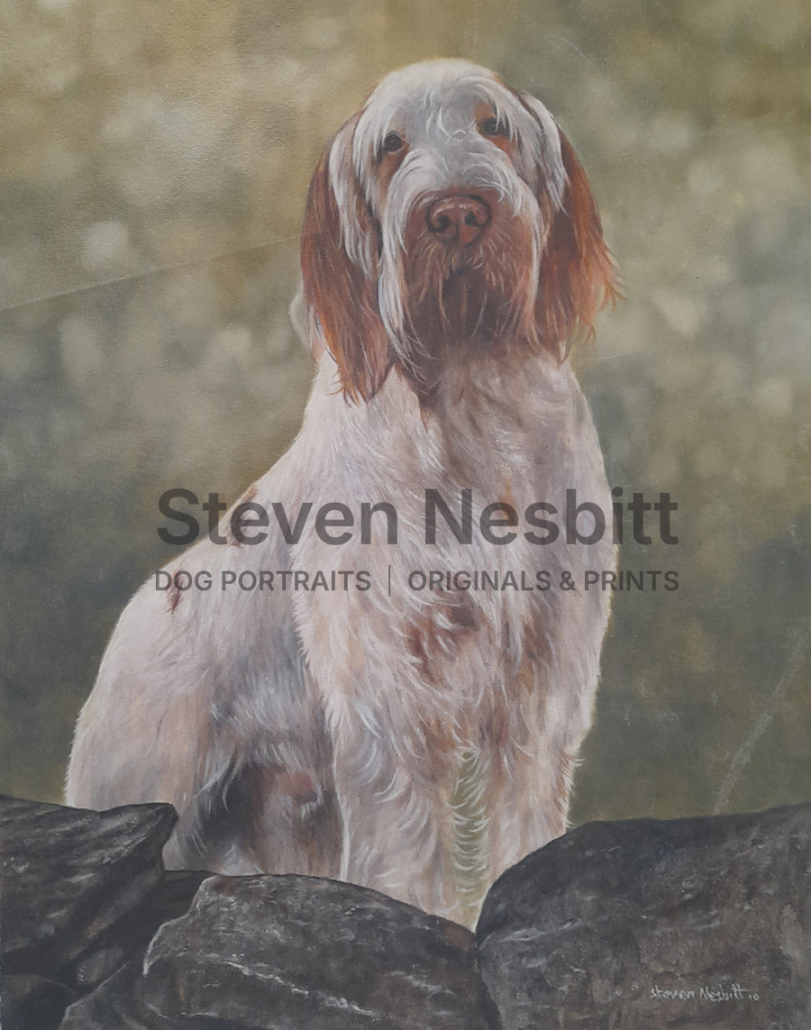 Spinone with a View Original Painting