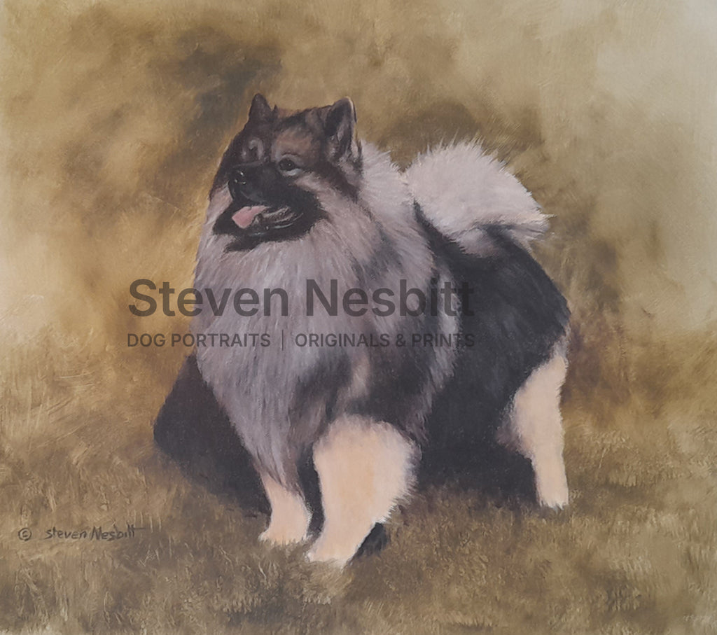 Keeshond Study Original Painting