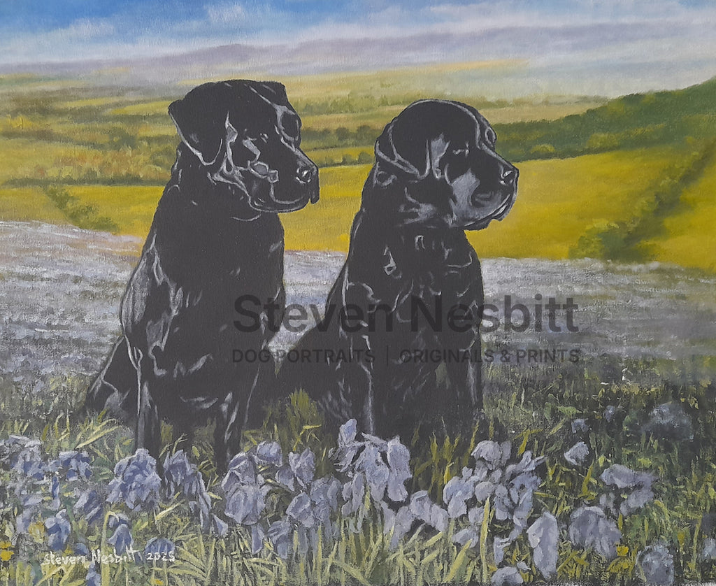 Distant Hills Original Painting