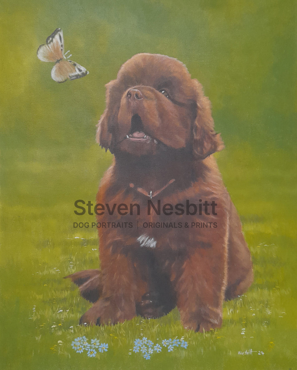 Newfoundland Garden Visitor Original Painting