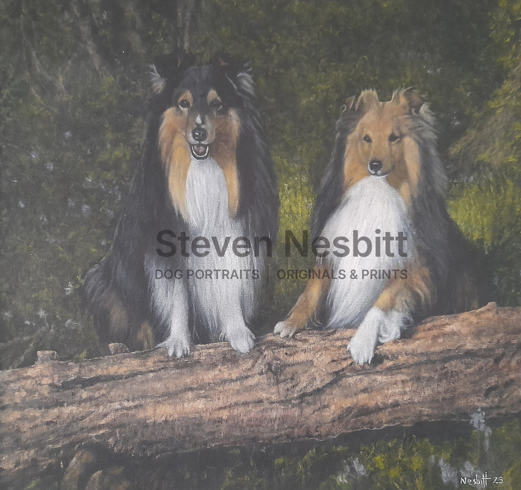 Shelties in the Woods Original Painting