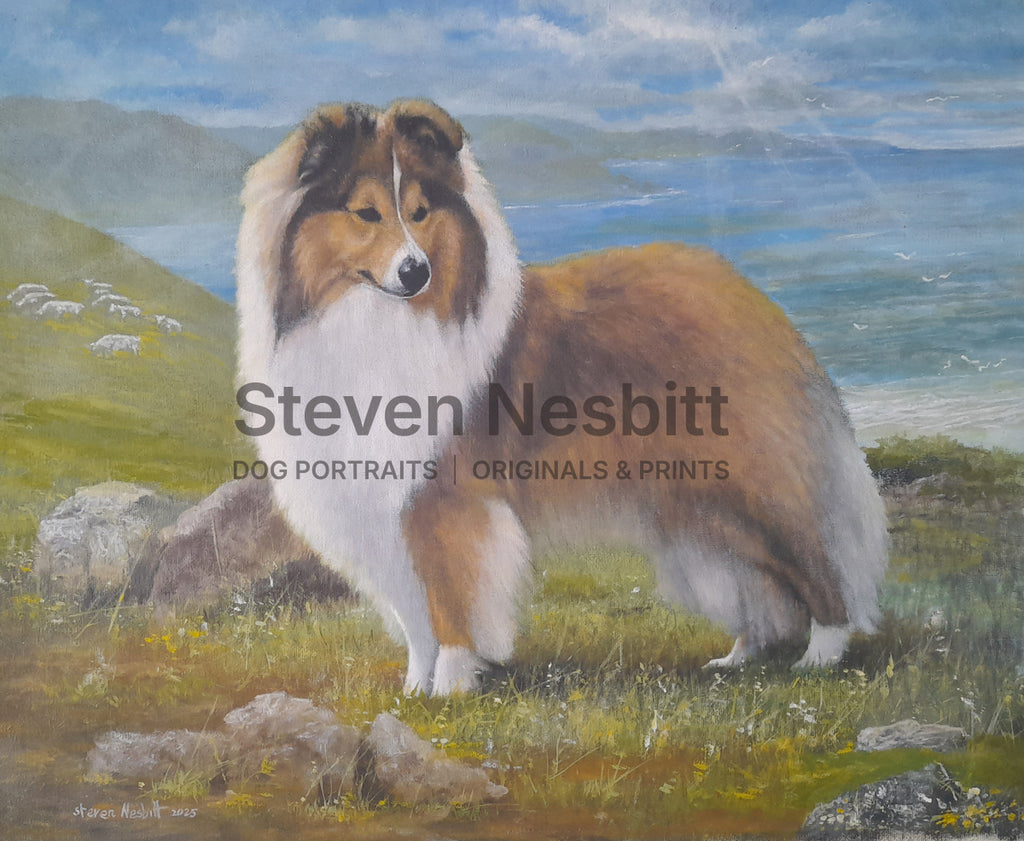 Sheltie on the Isles Original Painting