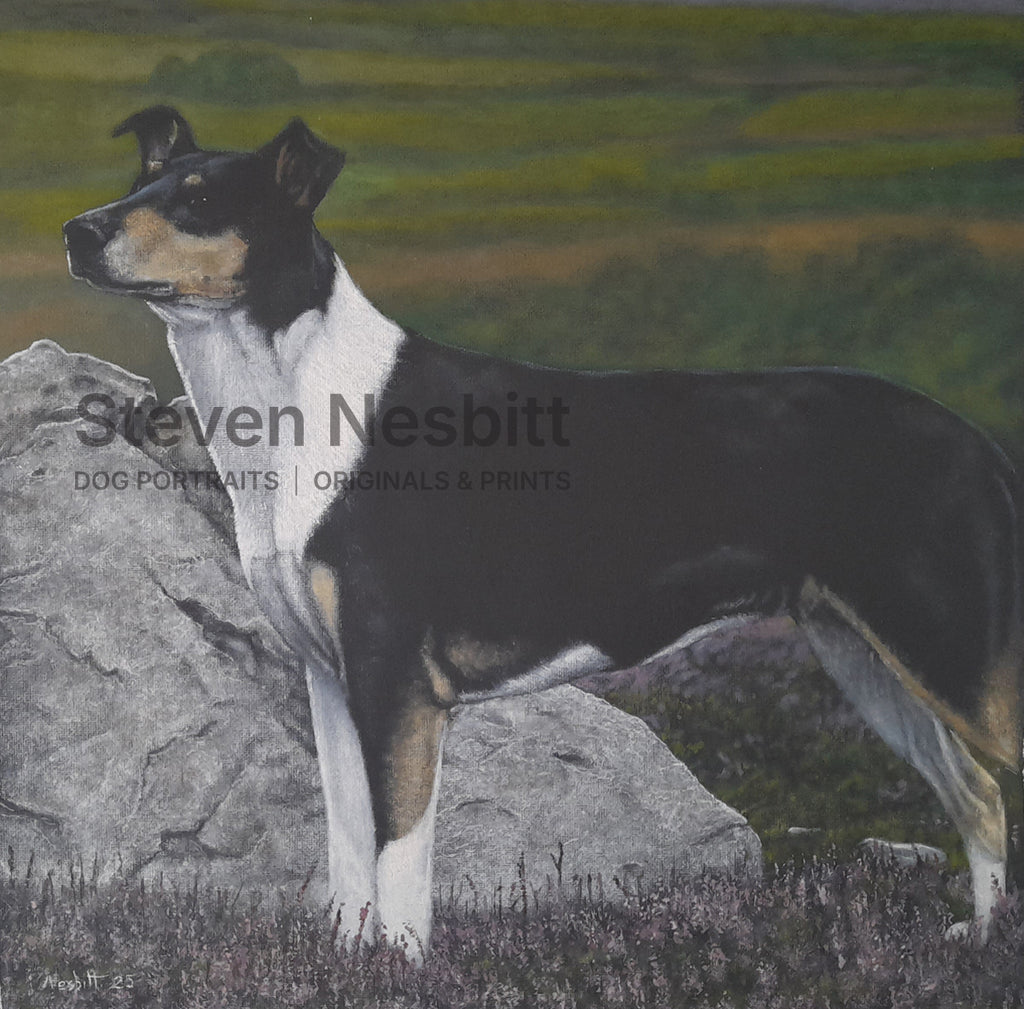 Rocky Terrain Original Painting