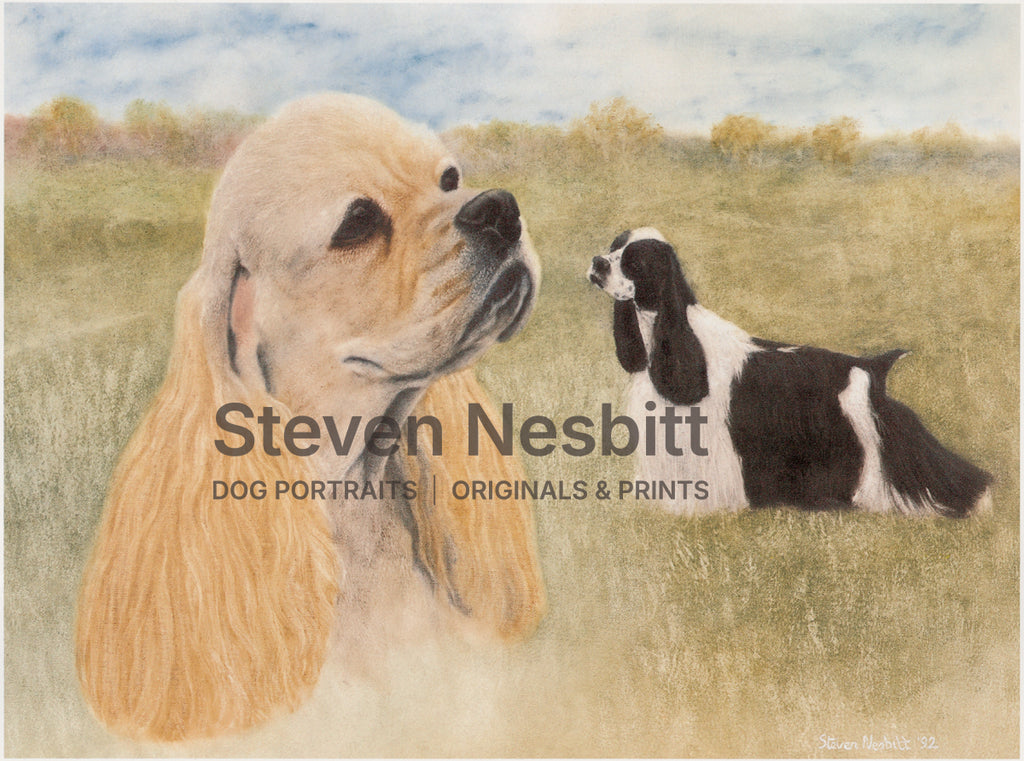 American Cocker Spaniel Print
