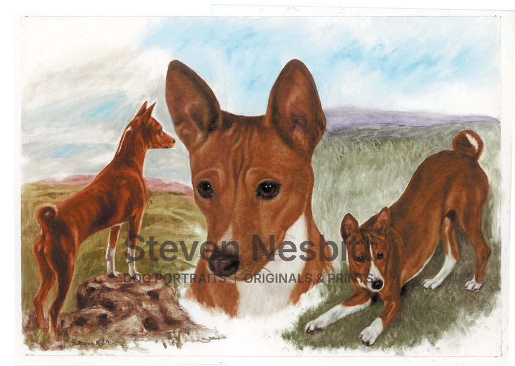 Basenji Sketches Print
