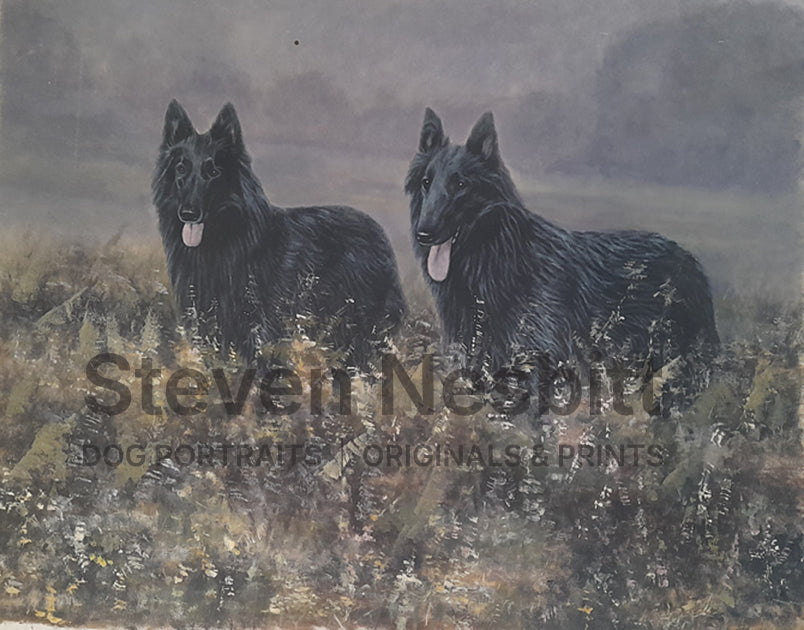 Belgian Shepherds in Heather Original Painting