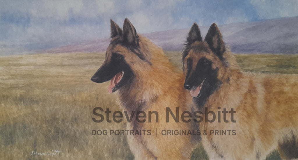 Belgian Shepherds in Open Country Original Painting