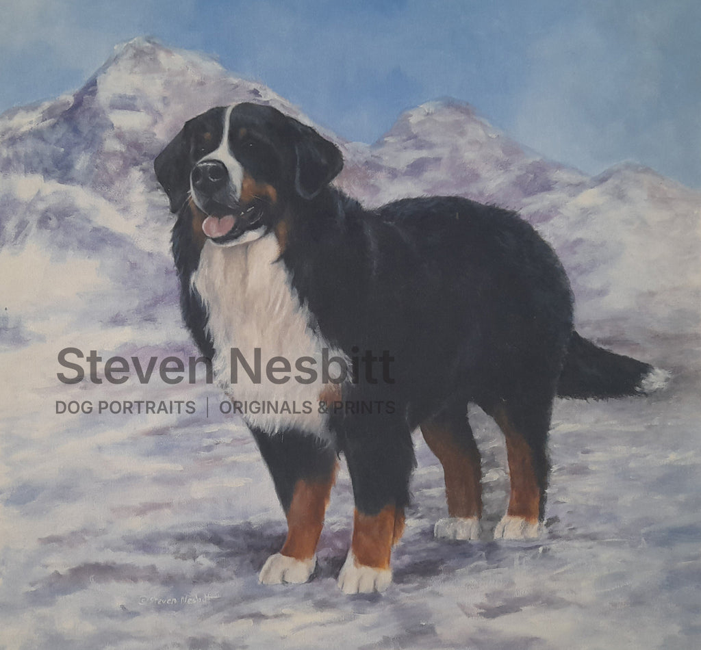 Beautiful Bernese Original Painting