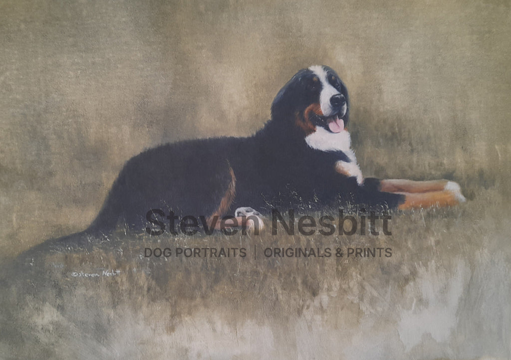 Bernese Study Original Painting