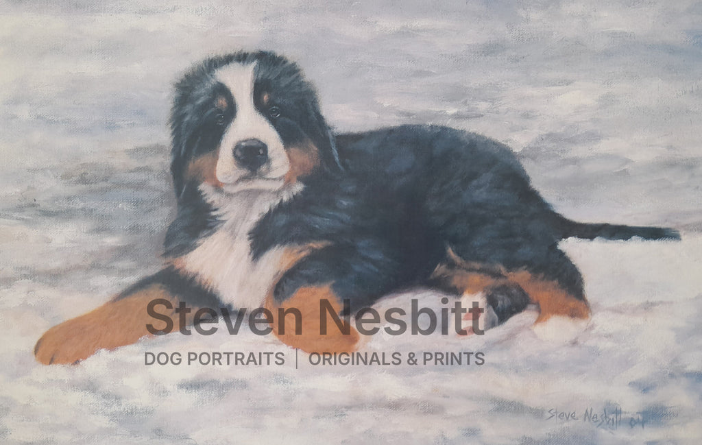 Slush Puppy Print