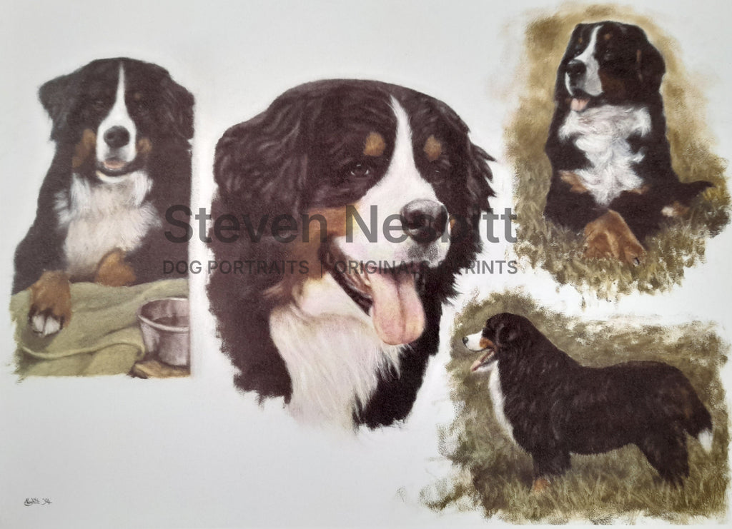 The Bernese Print