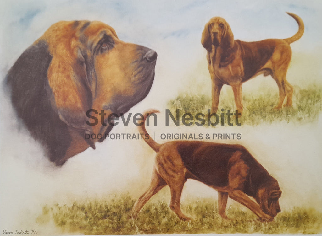 The Bloodhound Print