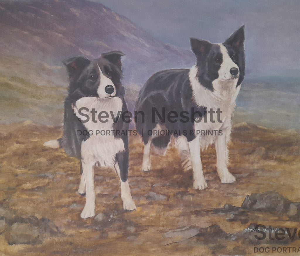 Border Collies in the Valley Original Painting