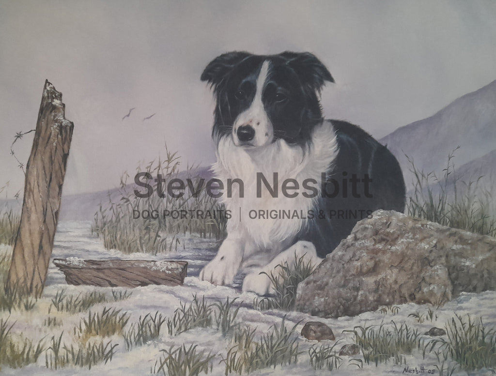 Border Country Original Painting