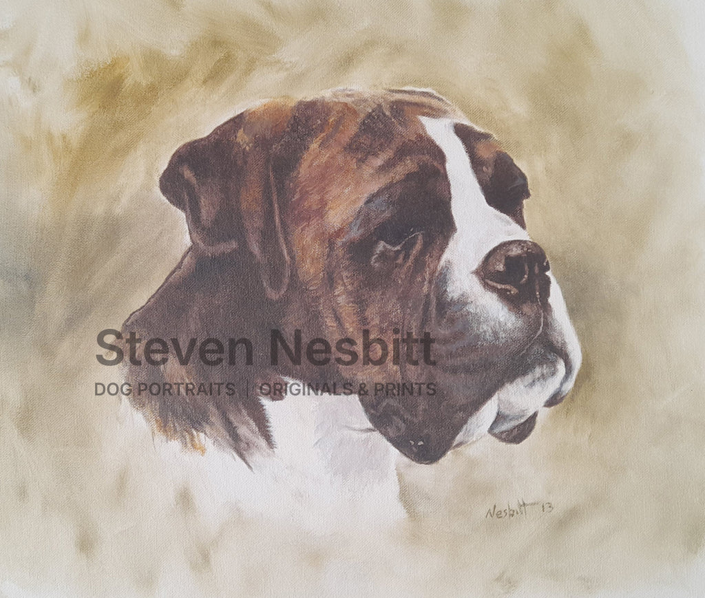 Boxer Head Original Painting