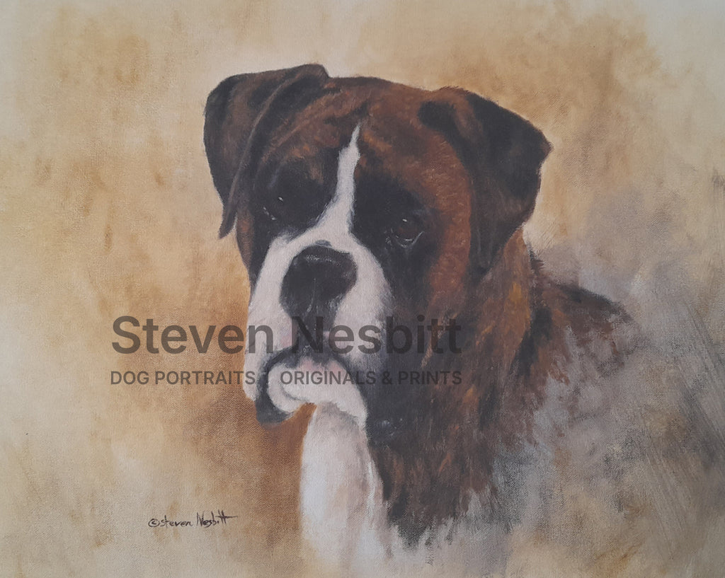 Boxer Portrait Original Painting