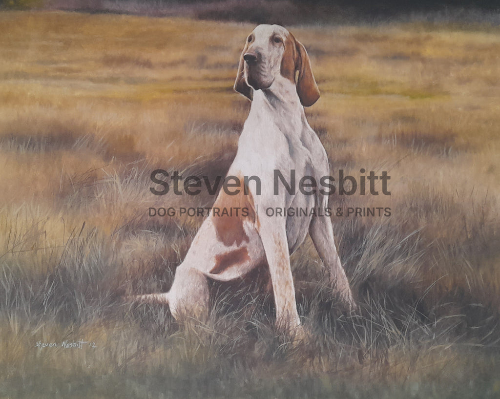 Bracco on the Moors Original Painting