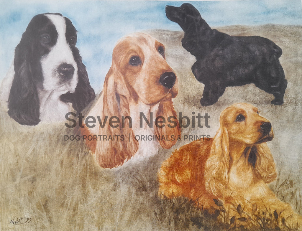 Cocker Spaniel Sketches Print