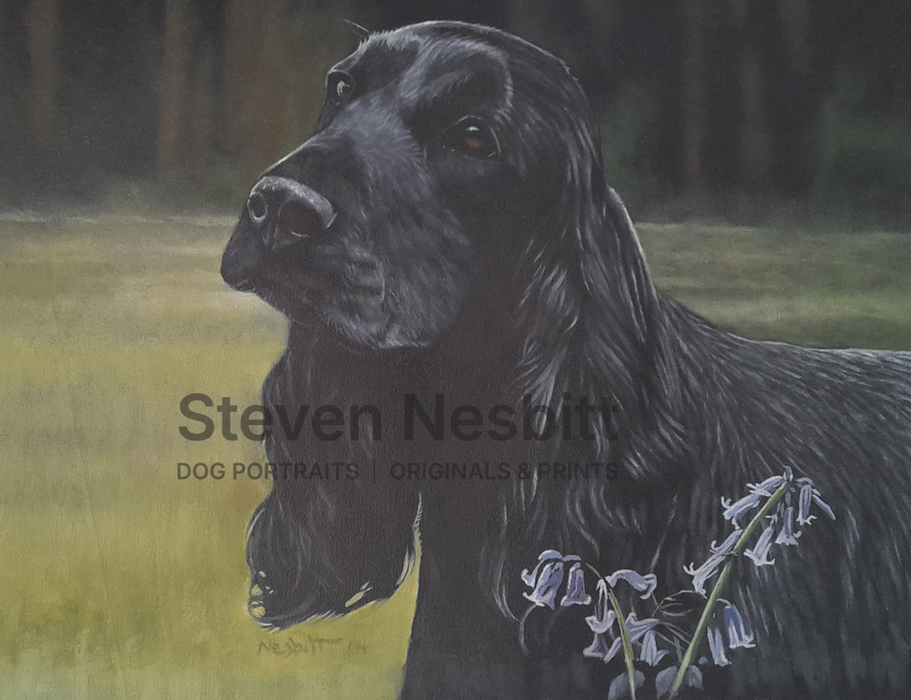 Black Cocker Spaniel with Bluebells Original Painting