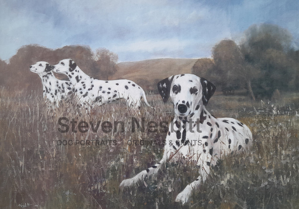 In the Meadows Print