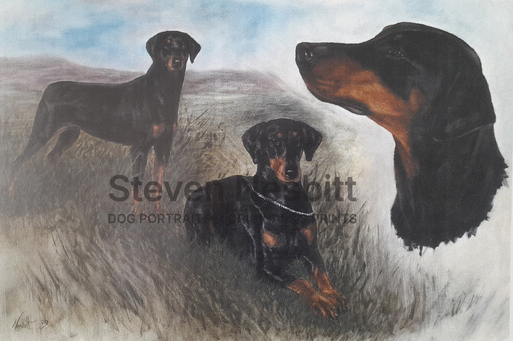 Dobie Sketches Print