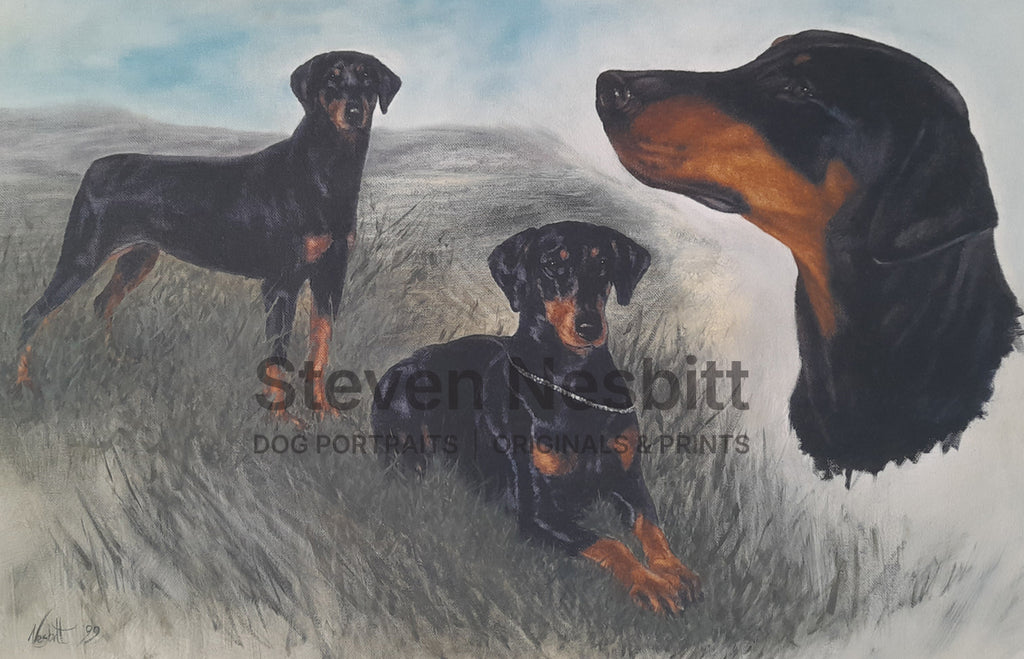 Dobie Sketches Original Painting