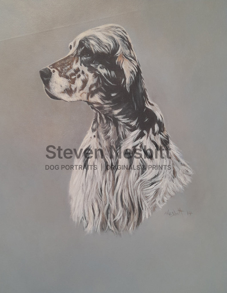 English Setter Study Original Painting