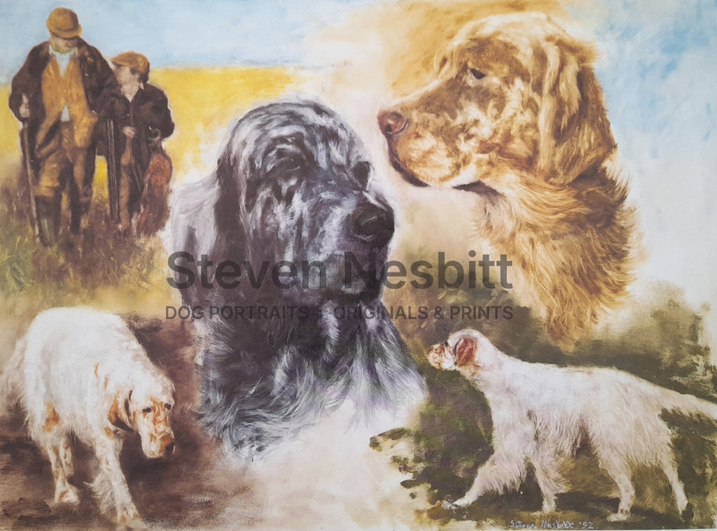 The English Setter Print