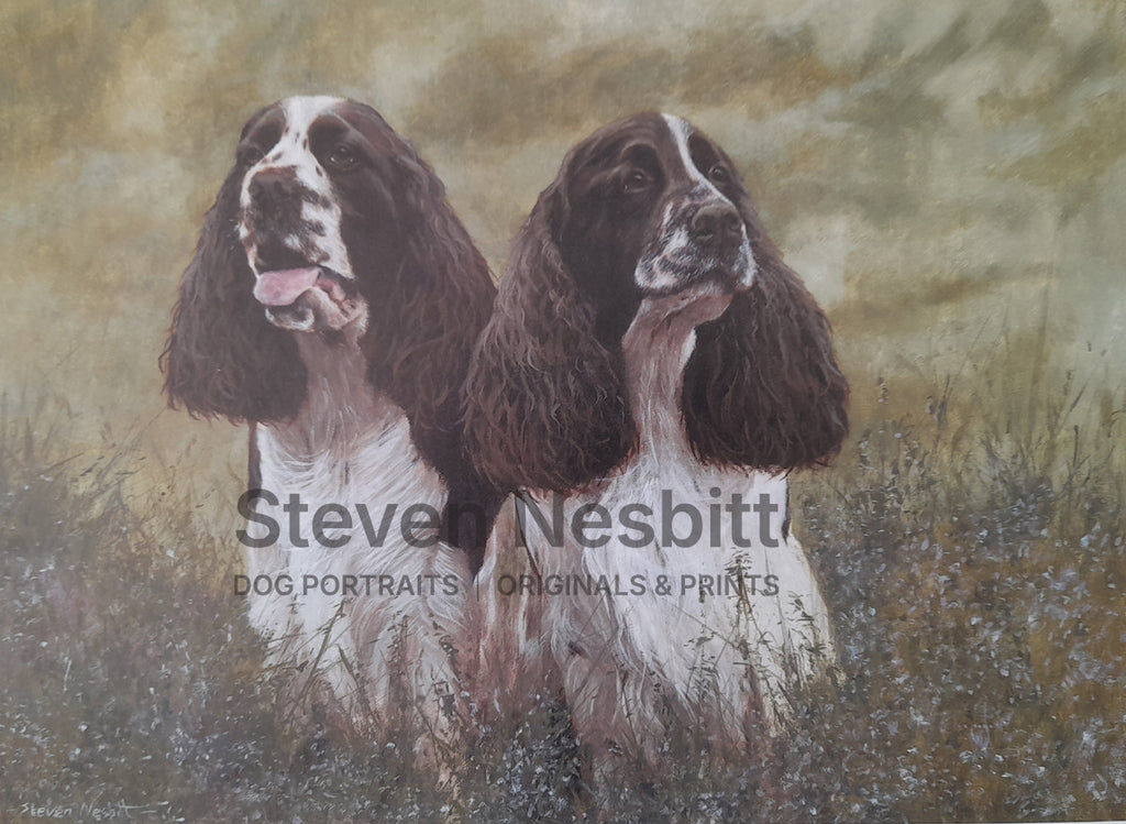Springers in Heather Print