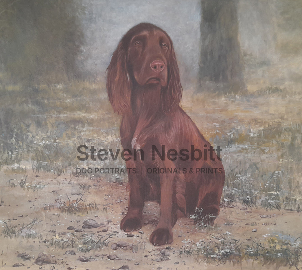 Field Spaniel Original Painting