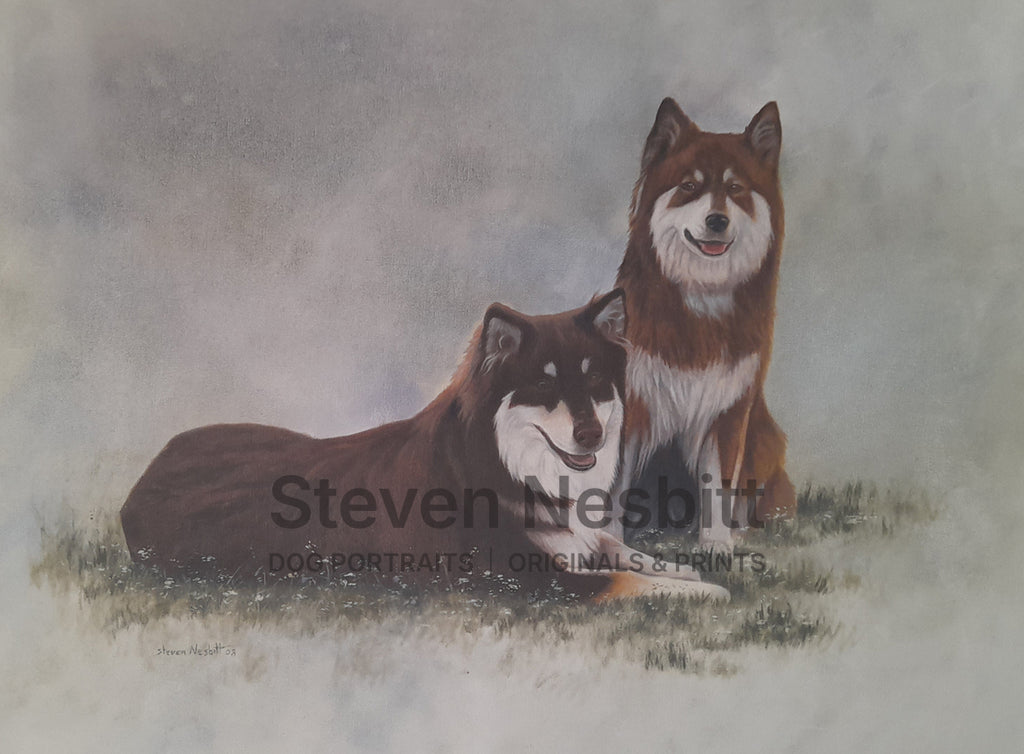 Finnish Lapphund Original Painting