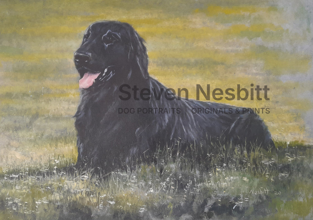 Flatcoat in the Grass Original Painting