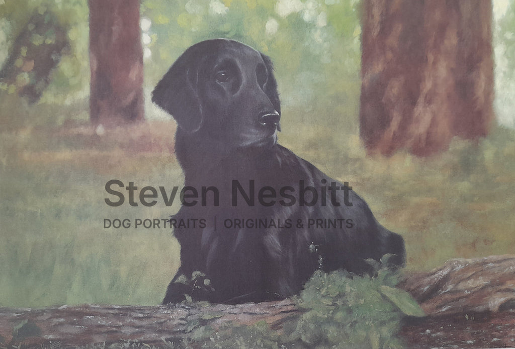 Forest Visitor Print