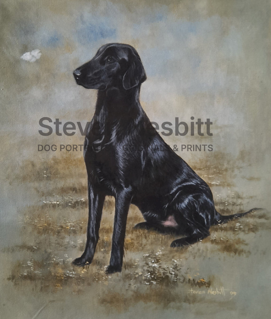 Young Flatcoat Print