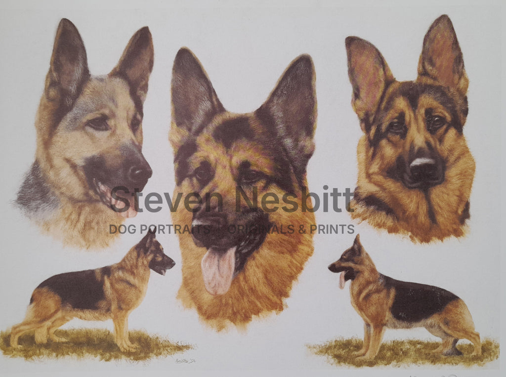GSD Print