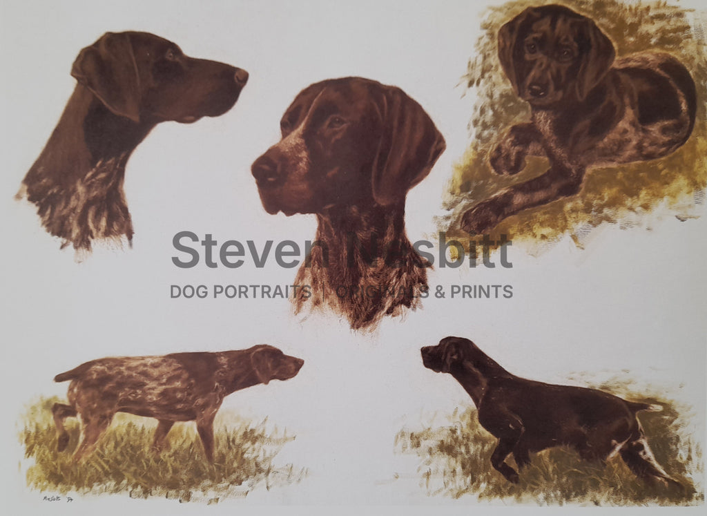 GSP Sketches Print
