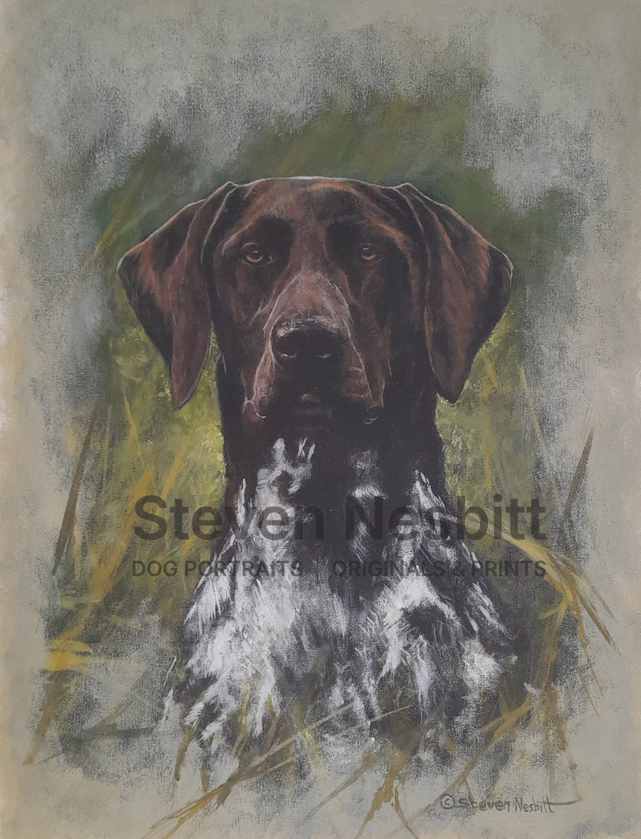 GSP Head Study Original Painting