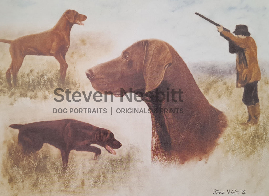 The German Shorthaired Pointer Print