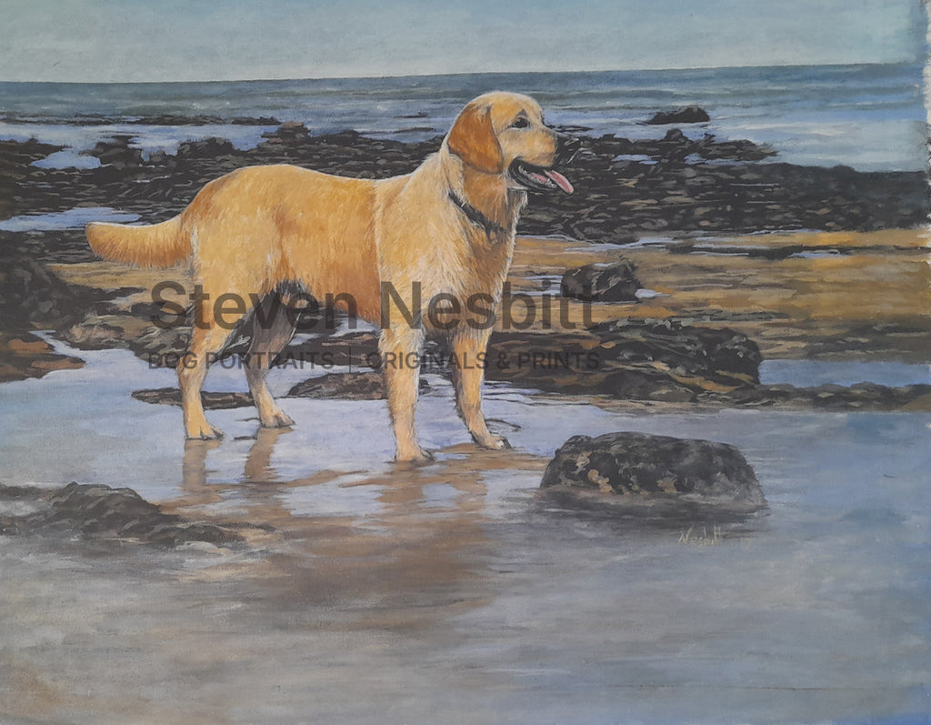 Beachcomber Original Painting