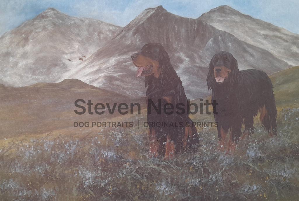 Highland Pair Print