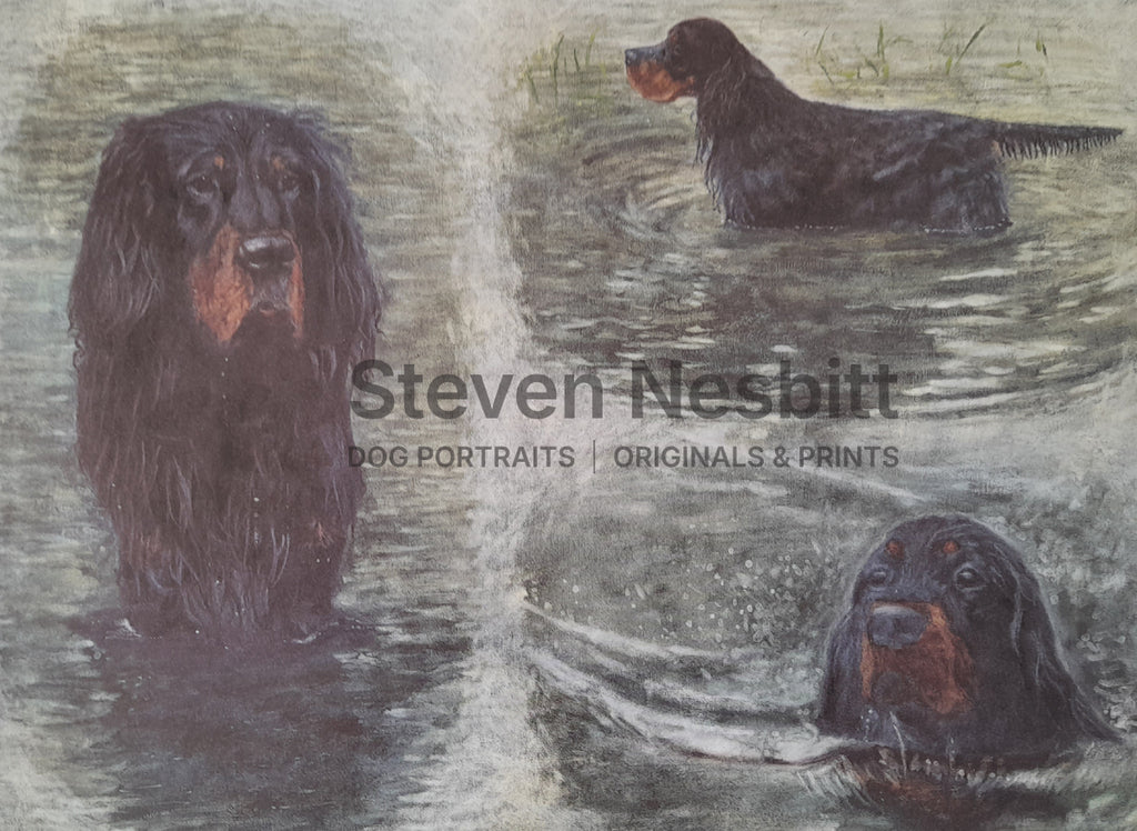 Gordons in Water Print