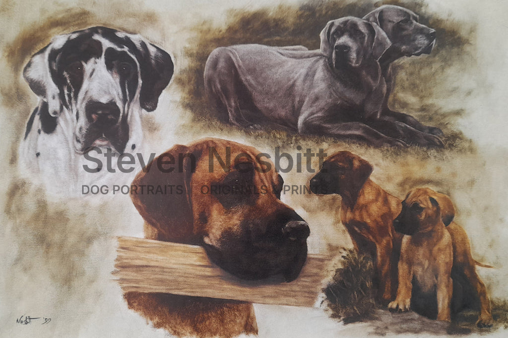 A Great Variety Print