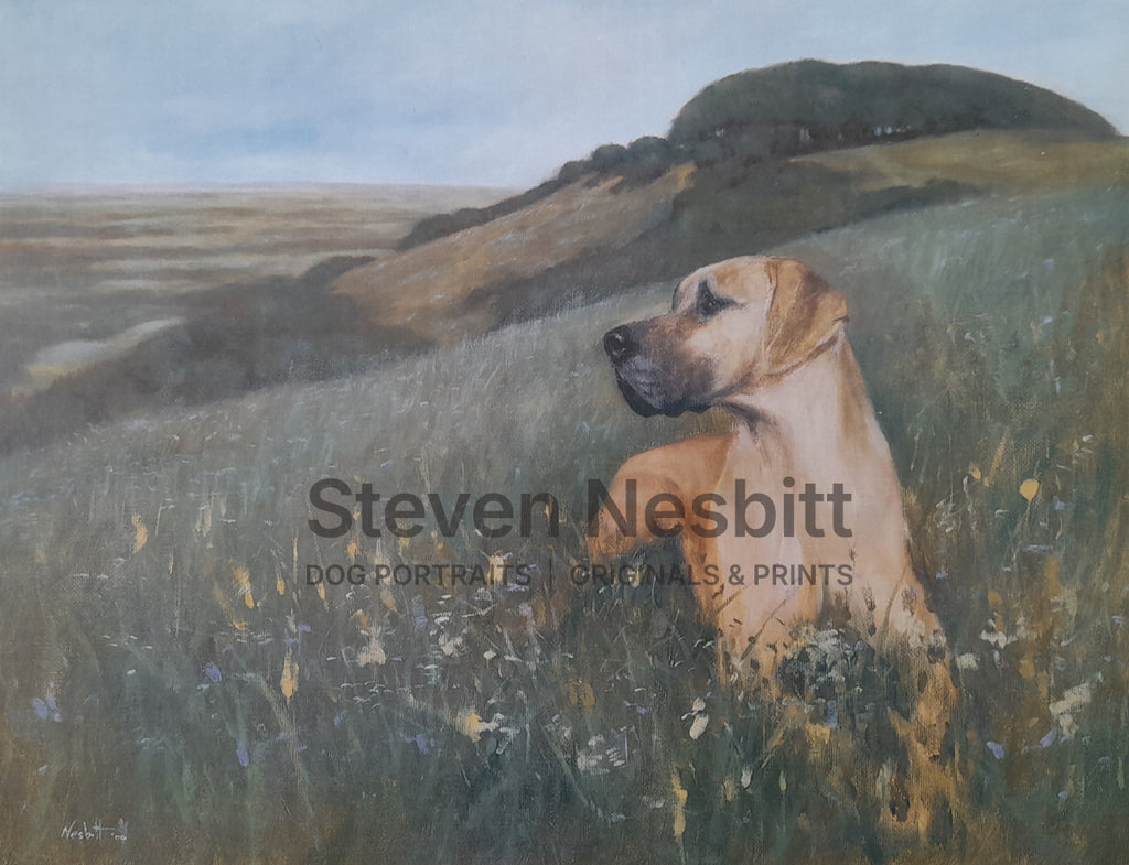 Hill Top View Print