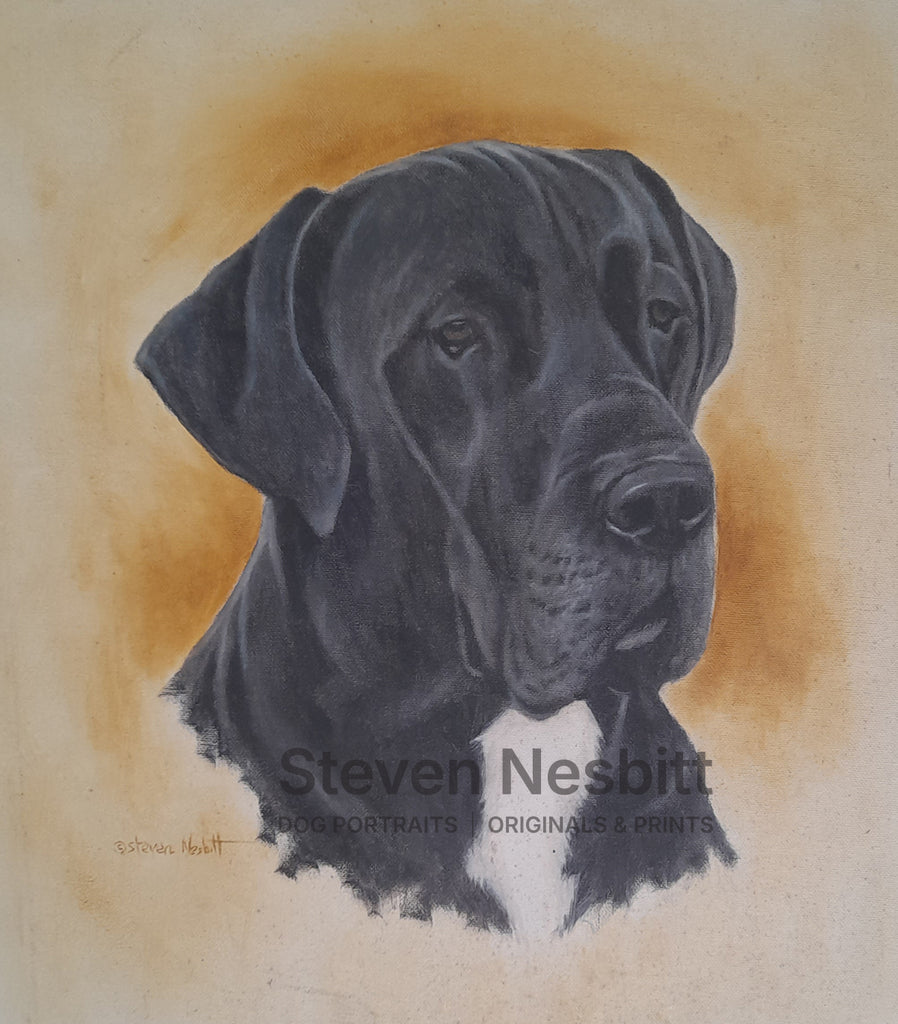 Dane Head Original Painting