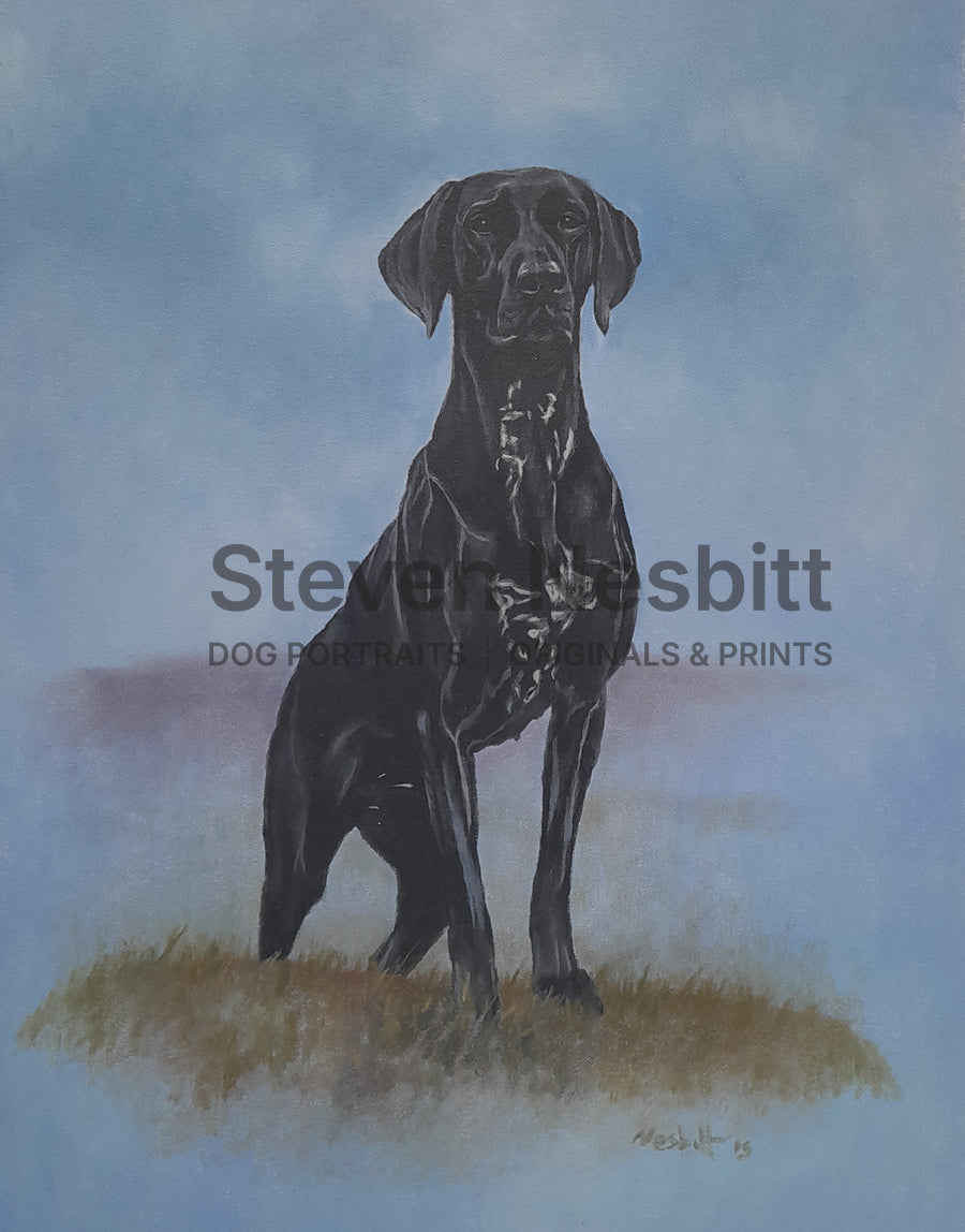 Proud Dane Original Painting