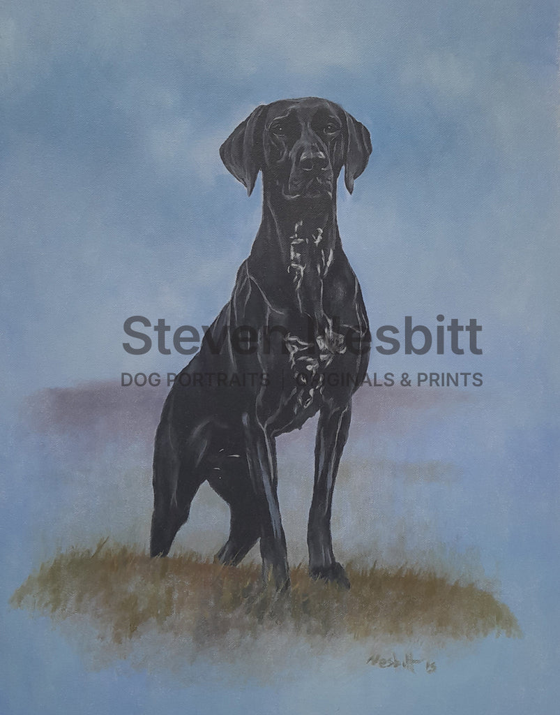 Proud Dane Original Painting